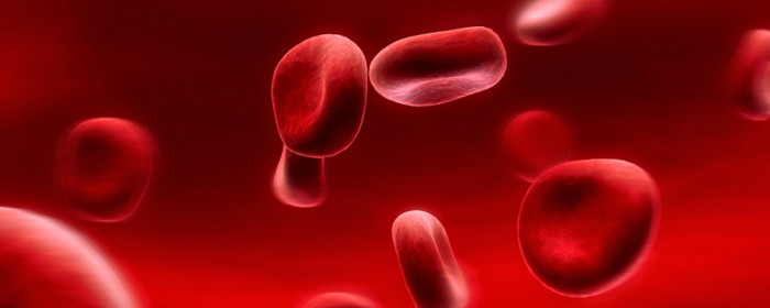 globules_rouges_sang_artificiel