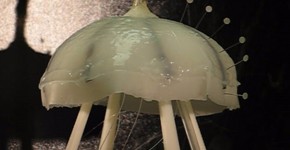 jellyfish-robot-meduse
