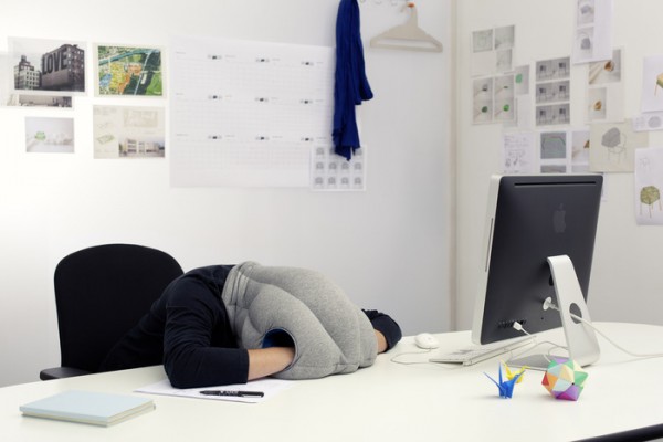 [Image: ostrich-pillow-3-600x400.jpg]