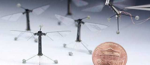 RoboBee-plus-petit-drone-robot-volant-du-monde