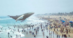 Crédit image : Magic Leap