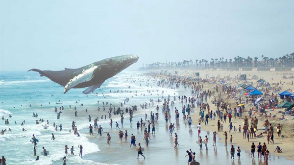 Crédit image : Magic Leap