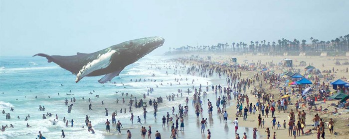 Crédit image : Magic Leap