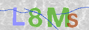Image Anti-spam