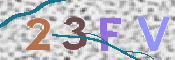 Image Anti-spam
